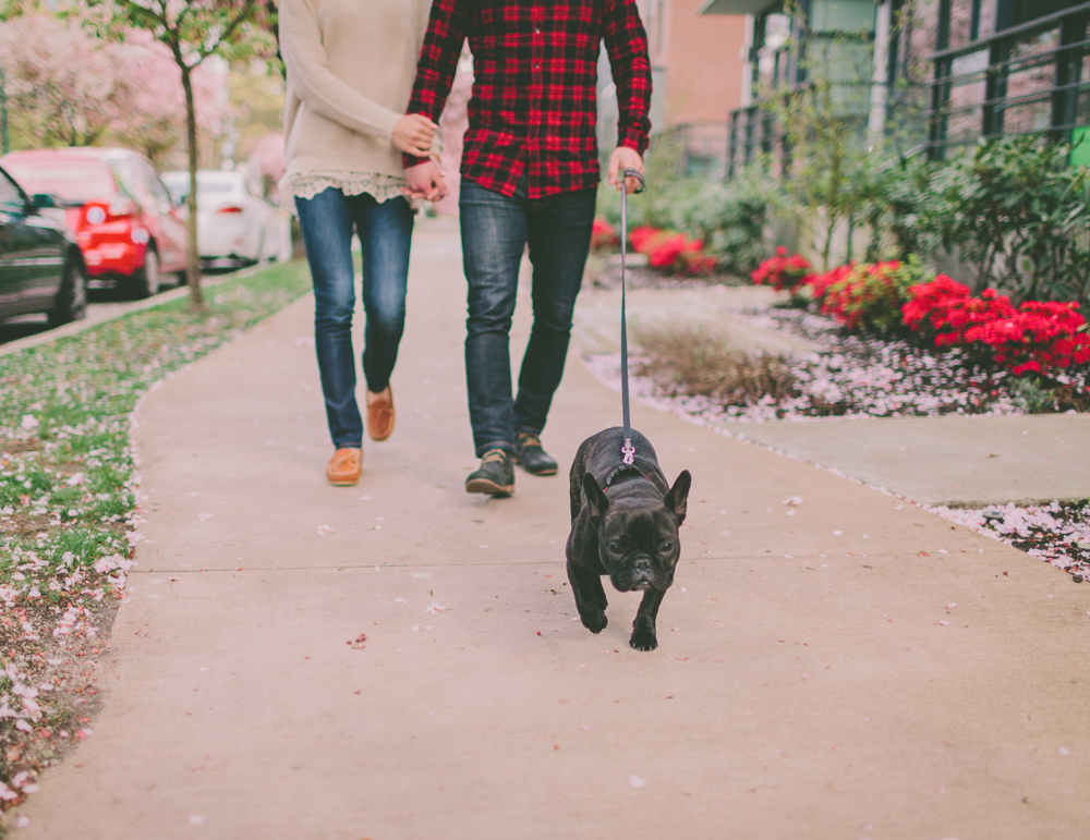 Whitetail Crossing offers open-concept townhomes with either two or three bedrooms, constructed by Socha Companies and carefully maintained for comfortable, high-end living.